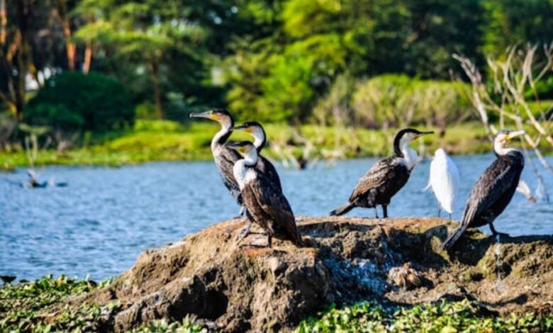 grand dunes national park ecosystem