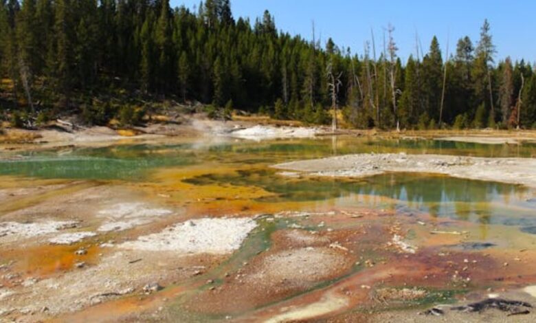 greater yellowstone ecosystem news